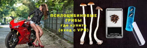 круглые Белокуриха