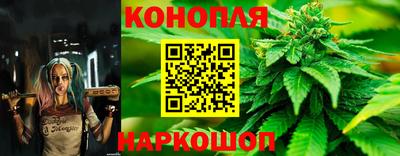 PSILOCYBIN Новозыбков