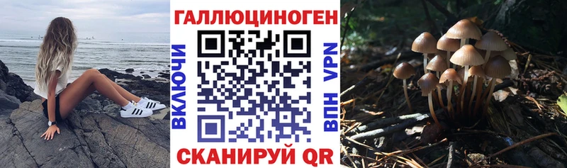 даркнет сайт  MEGA ONION  Псилоцибиновые грибы прущие грибы  Обь 