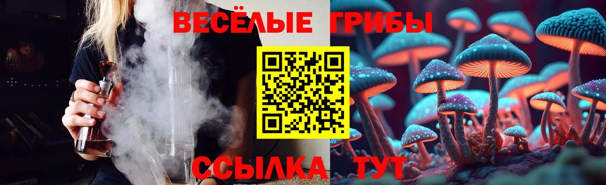 Галлюциногенные грибы GOLDEN TEACHER Обь
