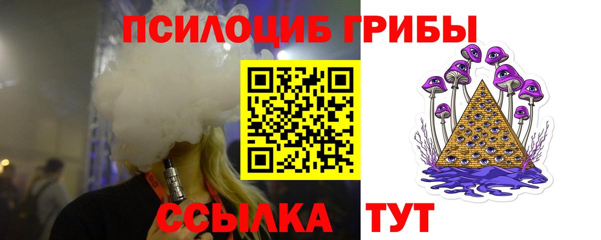 Обь  Галлюциногенные грибы Psilocybine cubensis  Вход с VPN  Галлюциногенные грибы прущие грибы 